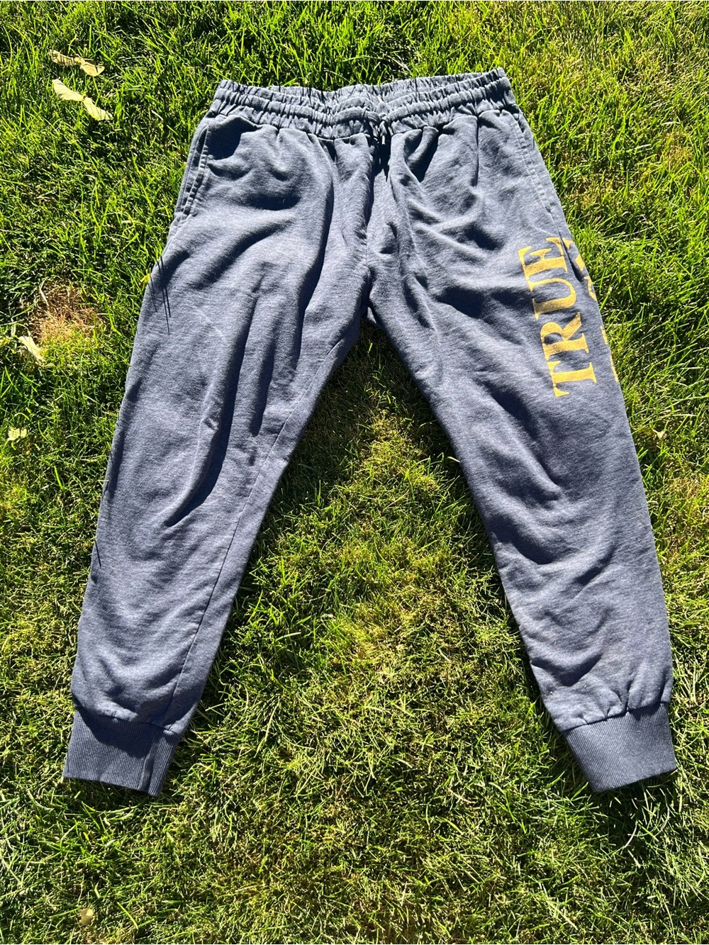 True Religion Navy Joggers